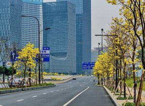 公司外部環(huán)境